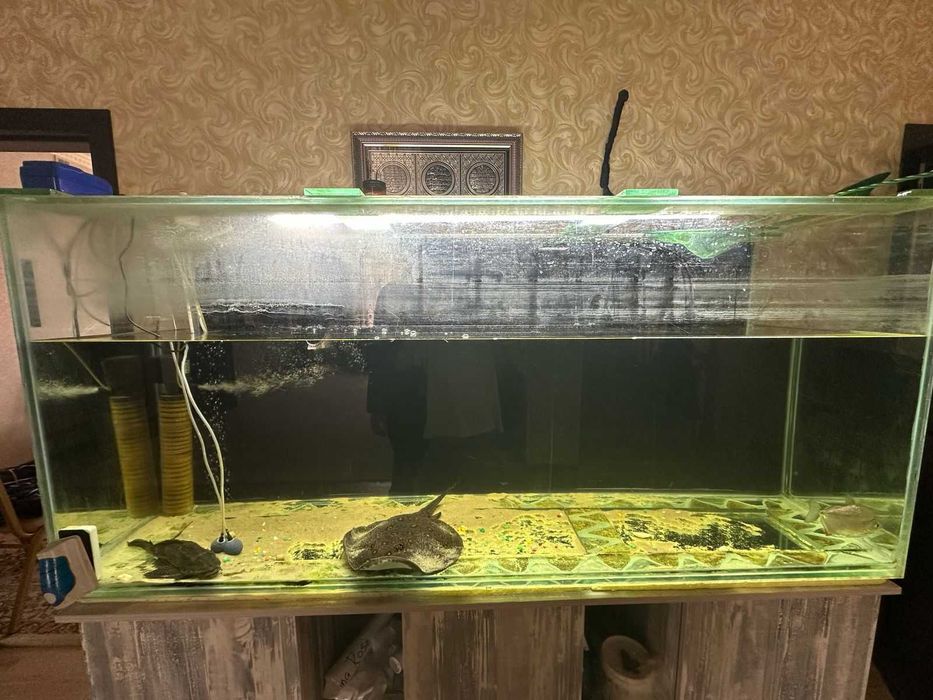 Аквариум продаю 800л
