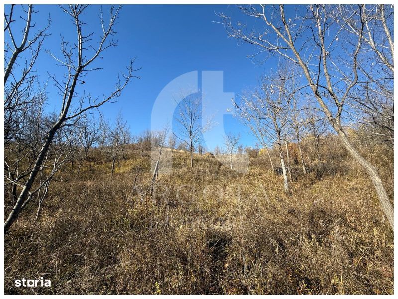 Teren Cozieni - Valea Banului | Comision Zero