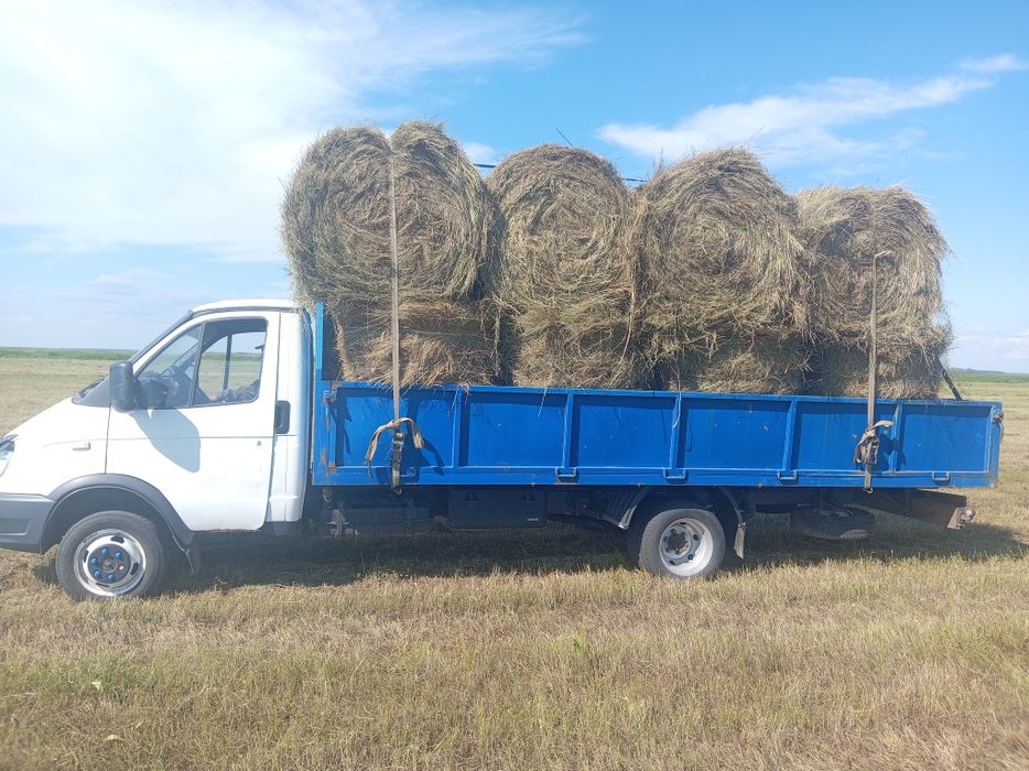Продам сено с доставкой