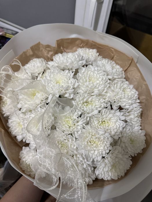 цветы хризантема