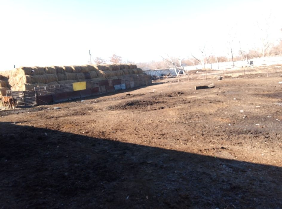 Продам базу с площадью