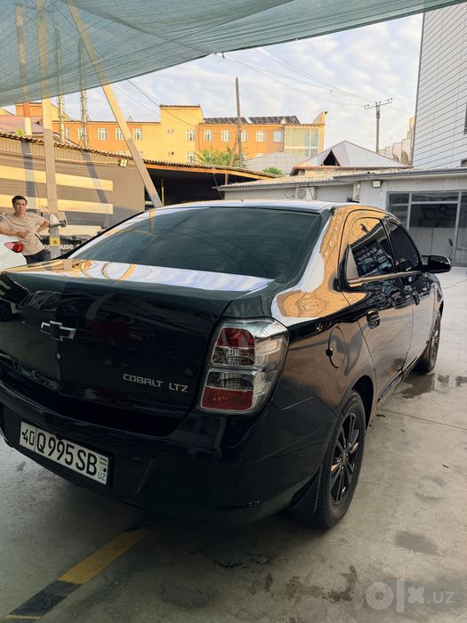 Cobalt midnight 2025