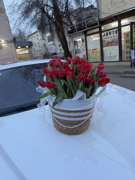 Тюльпан 43 штука