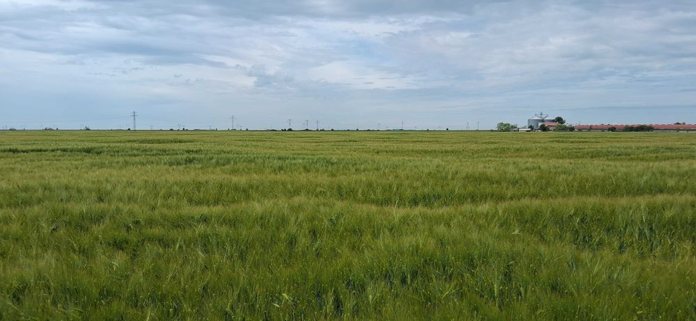 Teren 15.533 mp,deschidere 39 ml la DN1 ideal investitii industriale