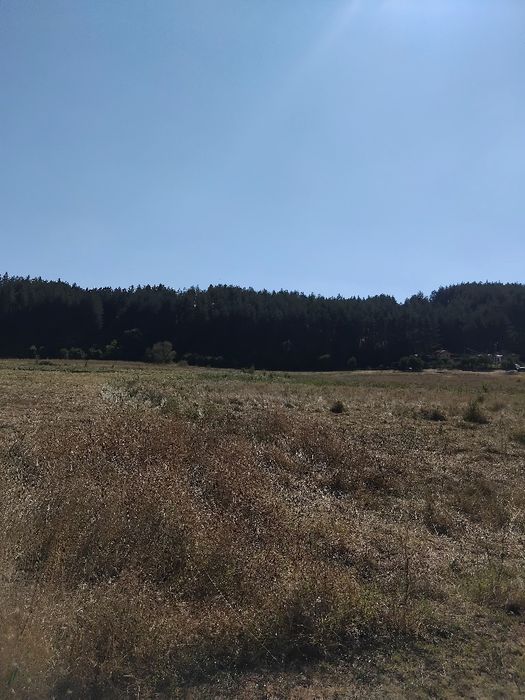 Продава се Парцел в Дупница - 10000 кв.м за 1 €/кв.м - Снимка #1