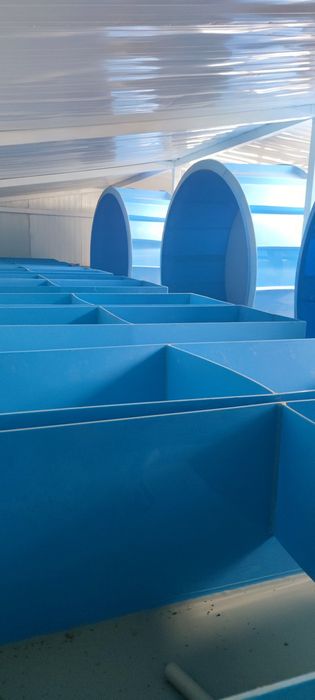 Креветки Розенберг