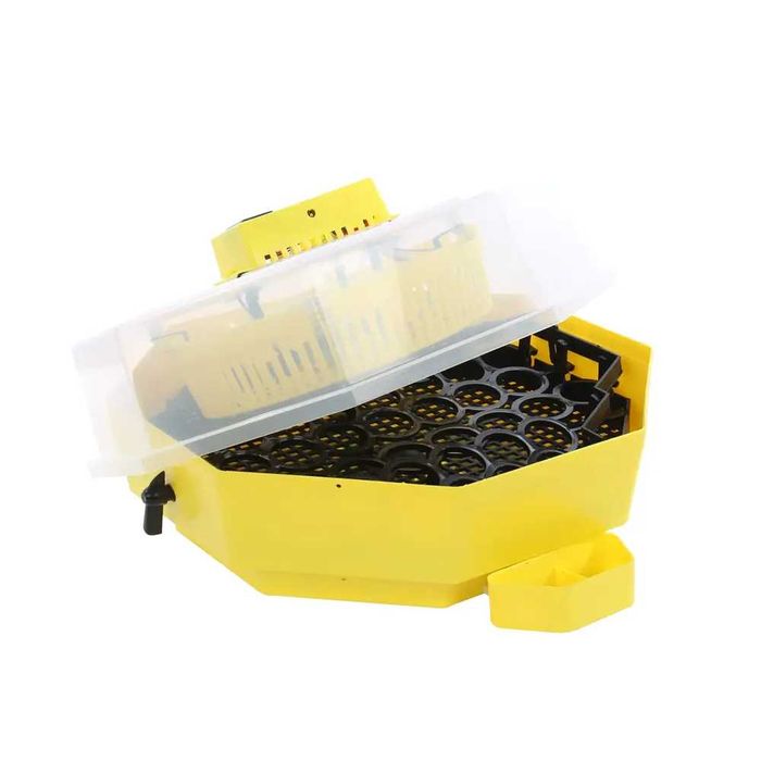 Инкубатори за 41 яйца, Cleo 5