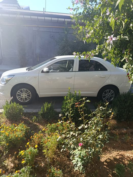 Chevrolet Cobalt sotiladi kuzov 2023 texpasport 2022 dekabr
