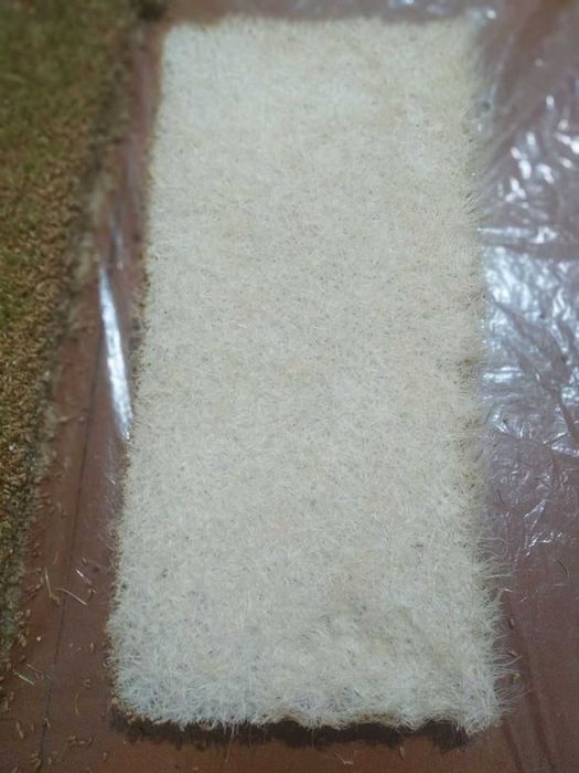 Sumalak uchun bug'doy undiramiz