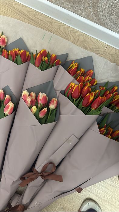 Тюльпаны в наличии