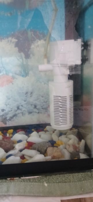 Аквариум с рыбками