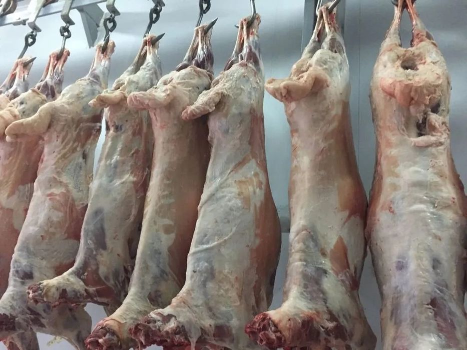 Баранина свежая , молодая