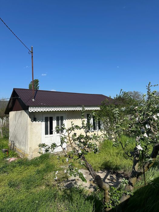 Vand loc de casa