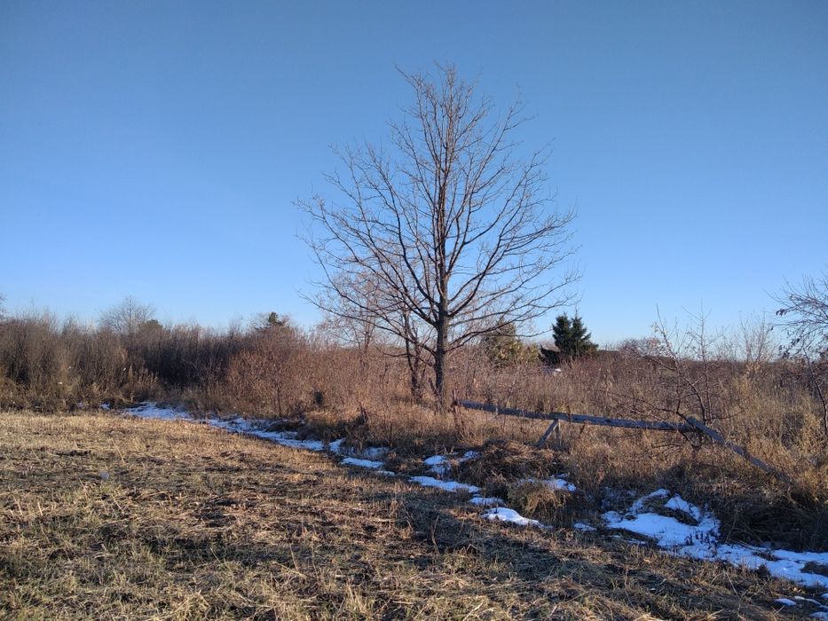 Продам дачу затон