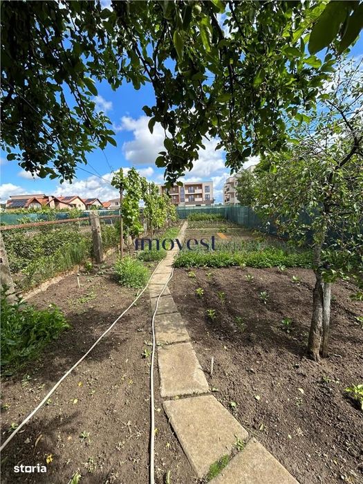 Casa spatioasa de vanzare in Satu Mare | Zona Aurel Vlaicu | Curte Com