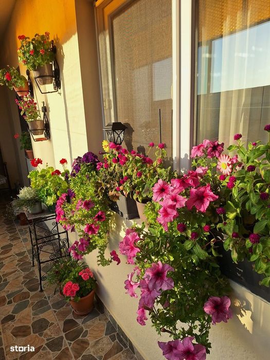 Apartament 4 camere, 2 bai, Micalaca - Miorita, 92 mp, renovat