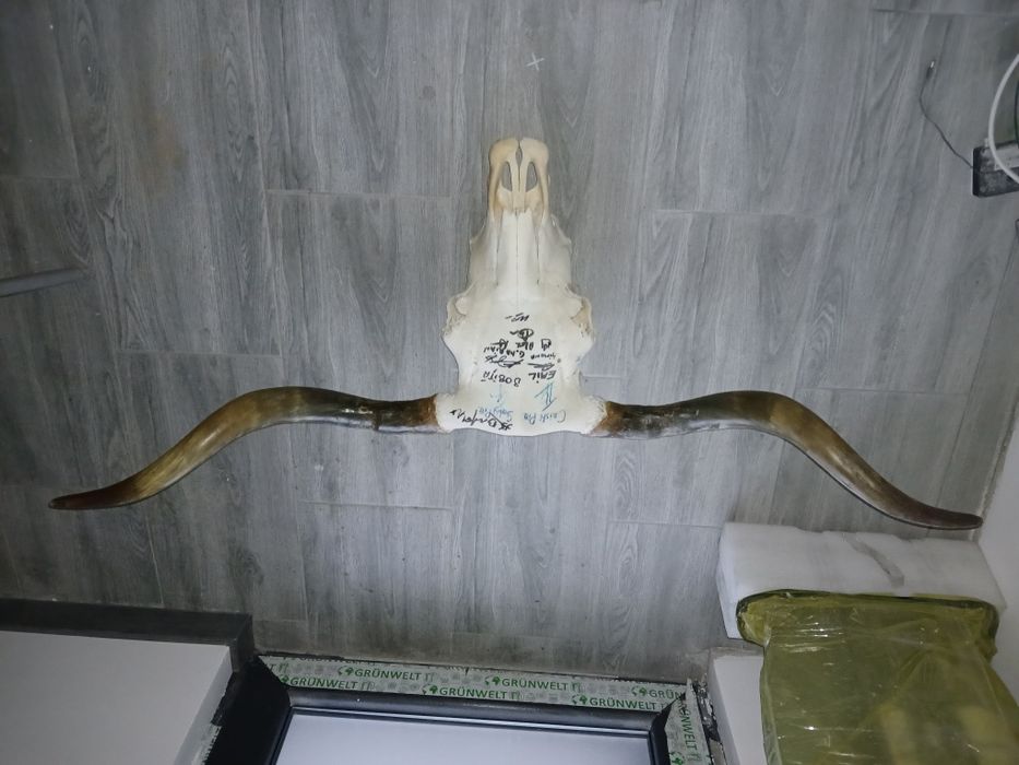 Vând un trofeu frumos.