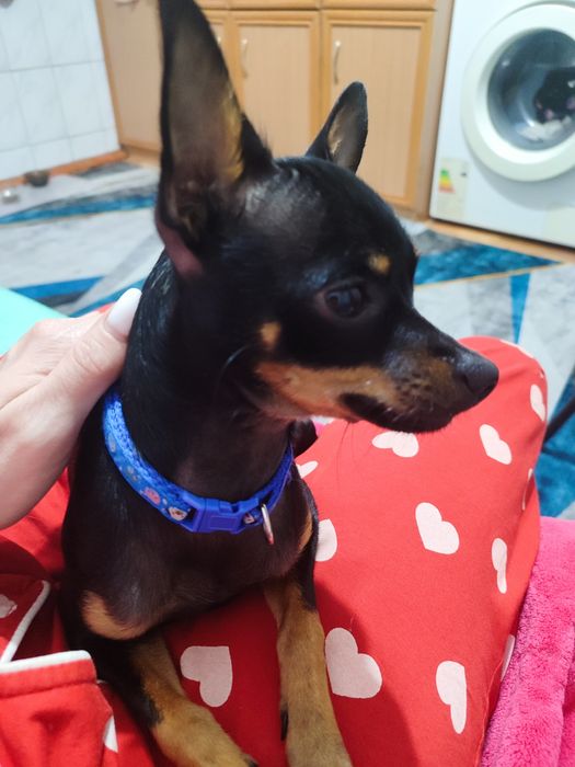 Молодой парень ищет подругу!