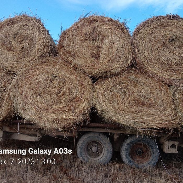 Сено разнотравье  хорошего качества, летнее.