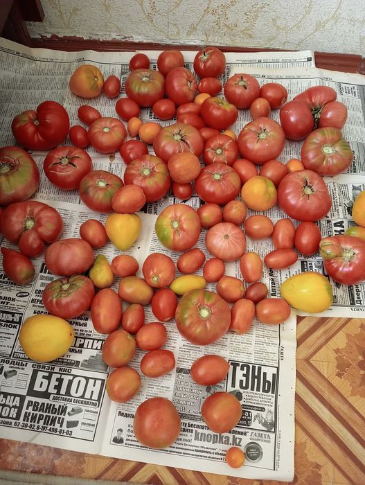 Продам помидоры, огурцы, яблоки, груши