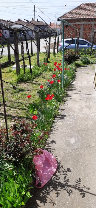 Продава се къща в град Тутракан