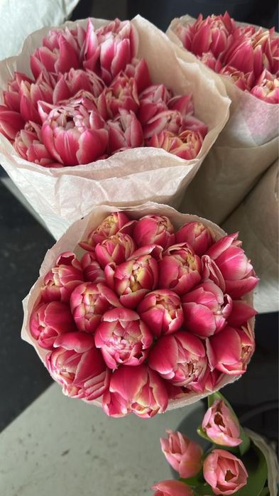 Свежие цветы тюльпаны