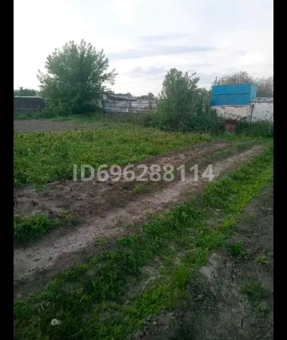 Продам дачу на бабровке