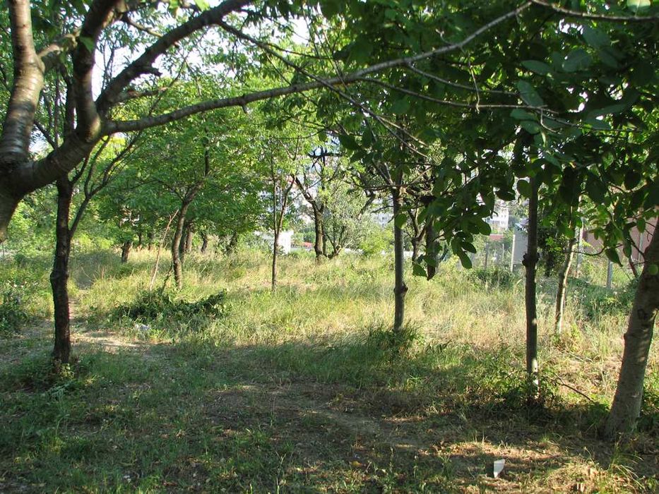 Продава се Парцел в Варна, Изгрев - 554 кв.м за 91 €/кв.м - Снимка #1