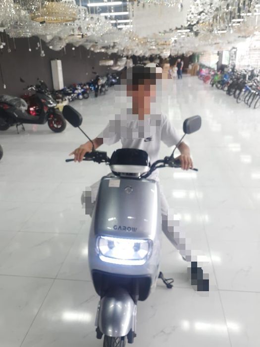 Элекронный-мопед