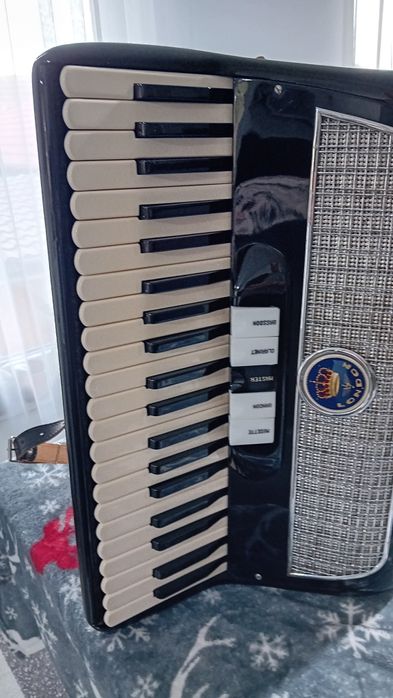 Vind Acordeon Italian Gaudini