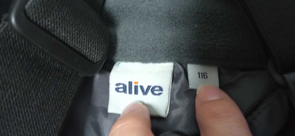 Зимни ватирани панталони