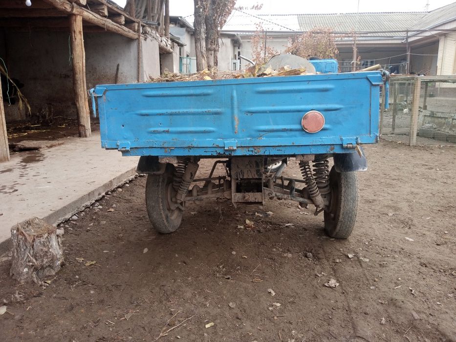 Savet mattaroli muravey