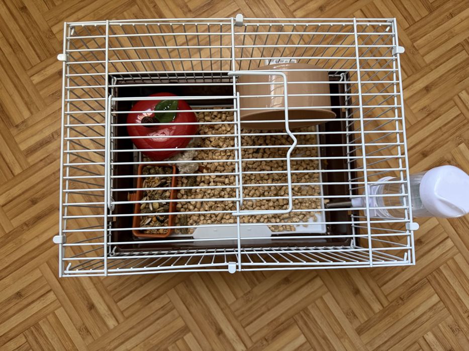Продам Хомяка!!!