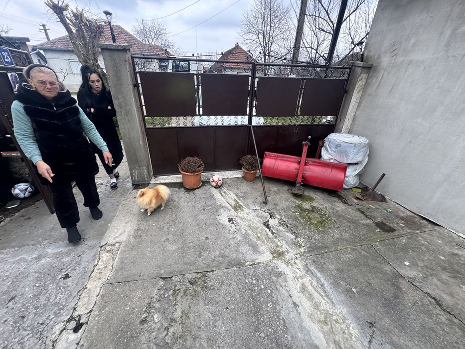 Amanajare curti cu pavaj