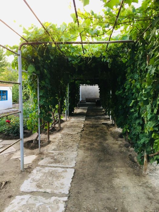 Karatau, үй сатылады!