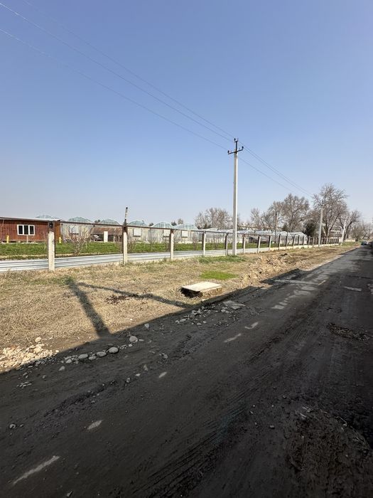 Xasanboy kensoyda yer soʻtigi 6000 dan