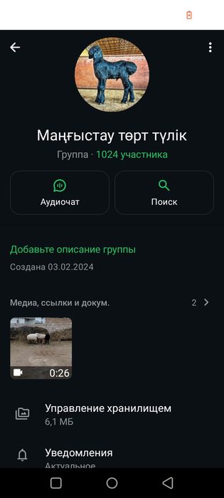 Төрт түлік группа бар