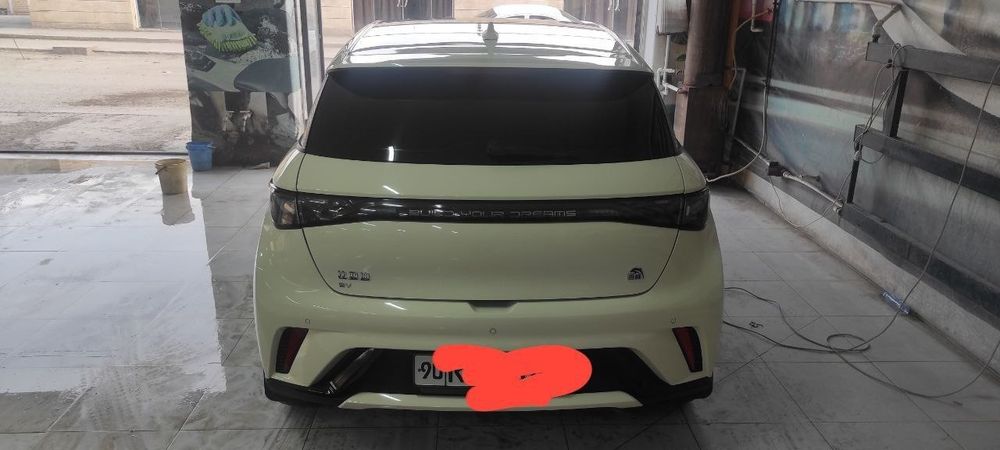 BYD Dolphin 2023
