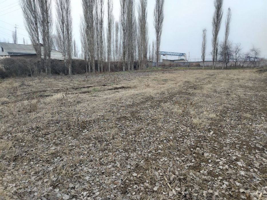 Турар жой учун ер УЧАСТОК