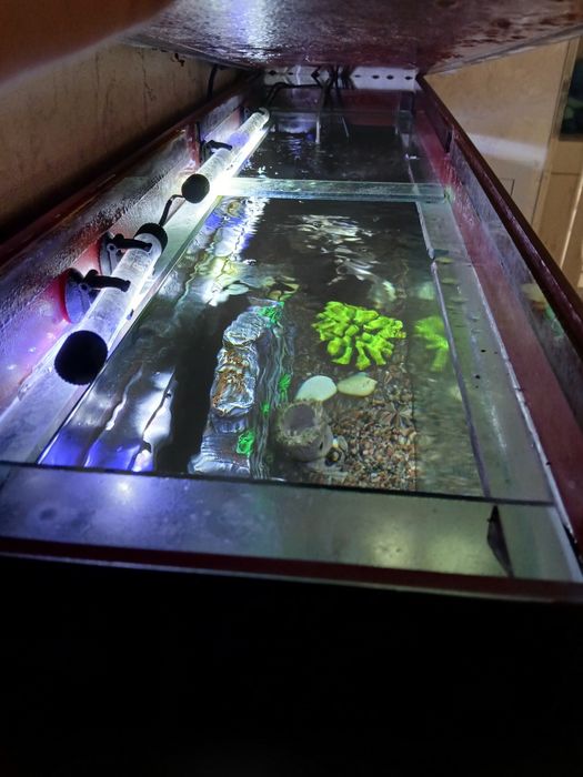 Аквариум 120л в идеале