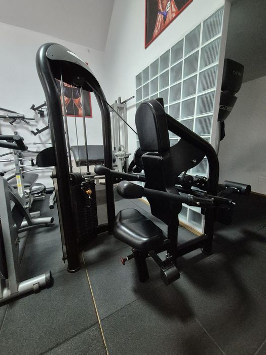 Presă triceps Matrix Aura !!!