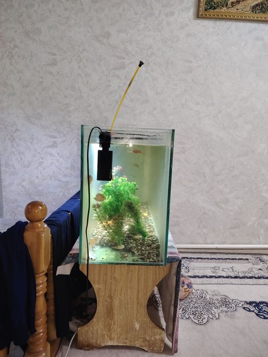 Аквариум арзон нархда сотилади