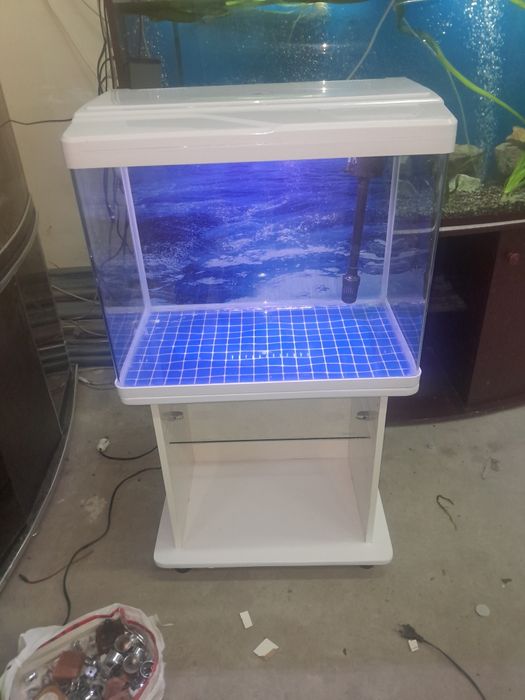 Akvarium 250 litr 6 oyna
Qôship beraman dõmik  
Tosh filter chipiyõn s
