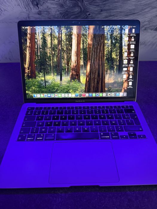 Macbook air m1 si mouse apple magic