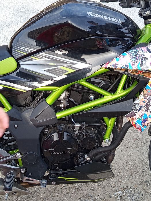 Kawasaki z 124 (2019)