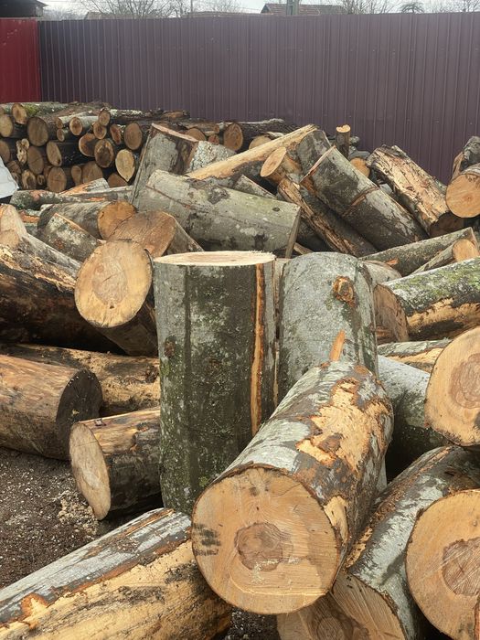 ‼️SC Vindem lemne de foc VERZI/USCATE [Fag,gorun,carpen,cer]