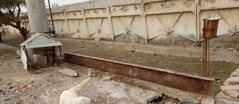 Продается Двутавр  высота 36см, Длинна  5,15 и ширина 15 см ..