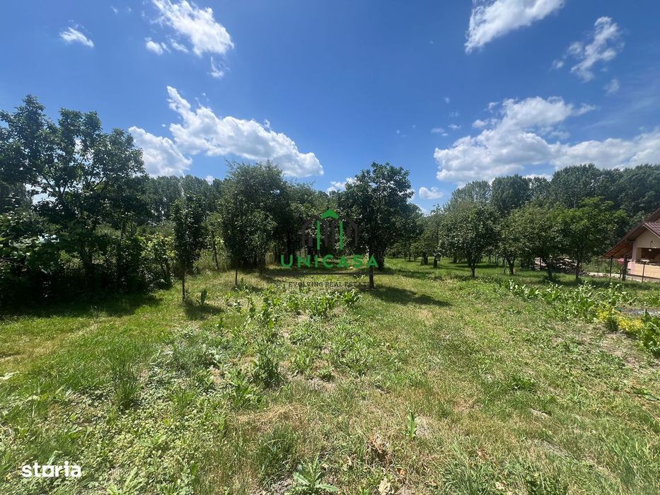 Teren Fedelesoiu/3200 mp/Intravilan