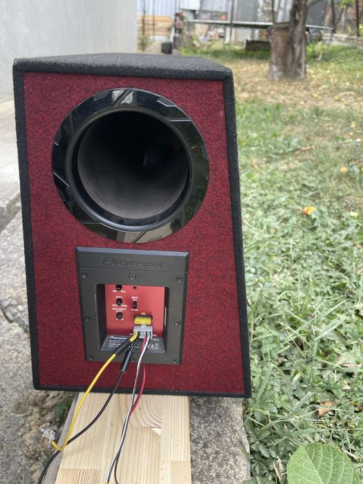 Pioneer TS-WX300A 30см