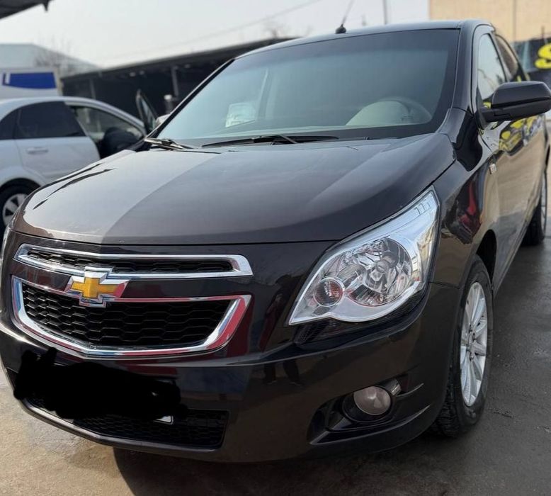 Kobolt bosh tolov 300$ bilan